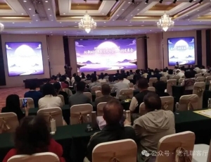 荡口如歌：一场文化自主的寻根之旅    作者:孔令文