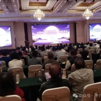 荡口如歌：一场文化自主的寻根之旅    作者:孔令文