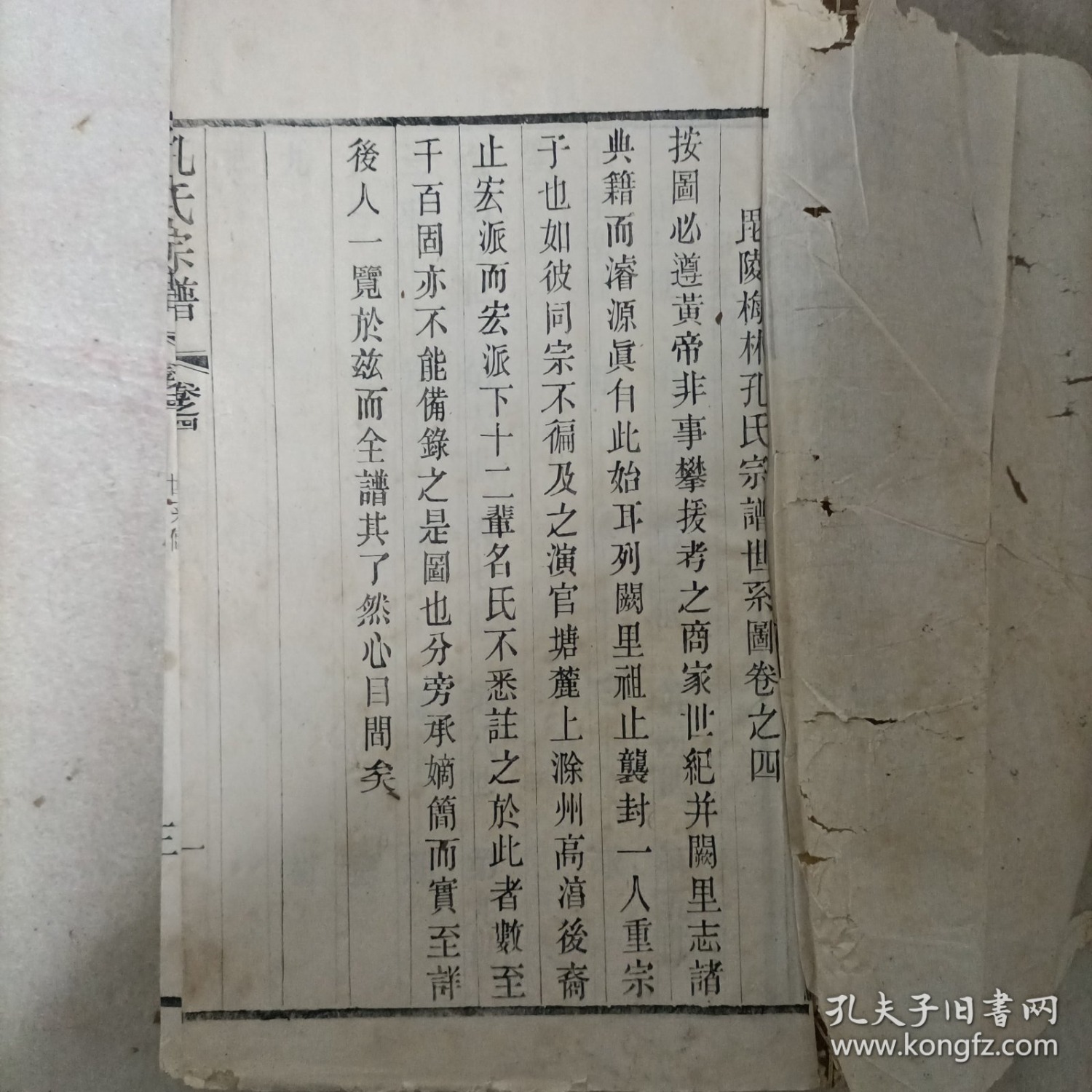1743900704127.jpg