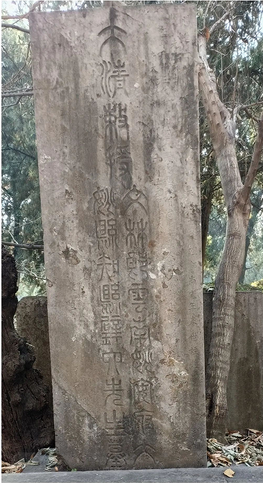 e02e5100d33de01e2977cc0c761e627.png