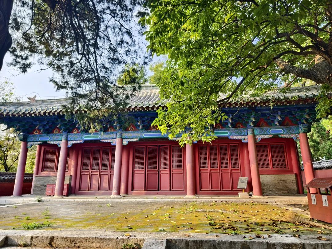 大殿回廊的檐柱及斗栱出跳一侧被粉刷的很新，刚看到时还有些许失落。02.jpg
