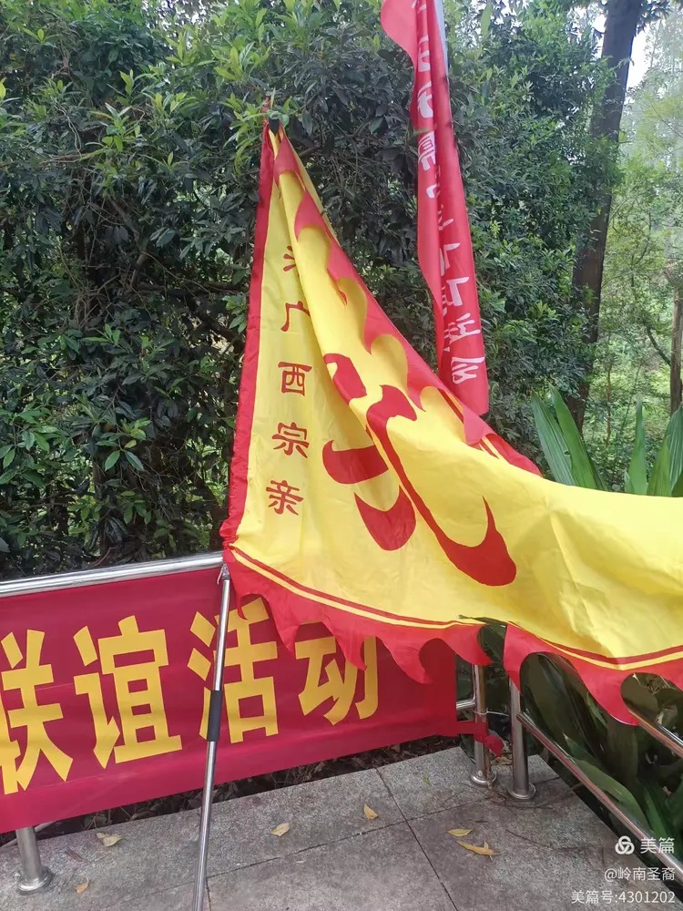 岭南重阳8.webp