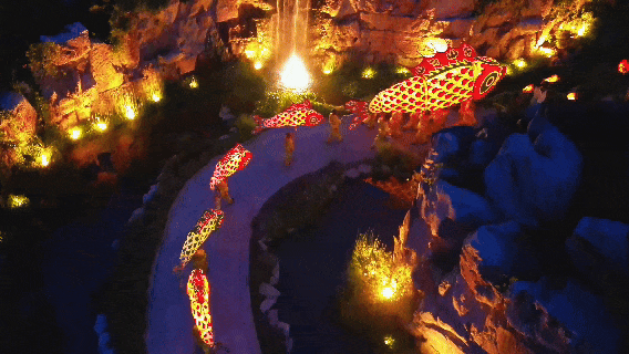 28.gif
