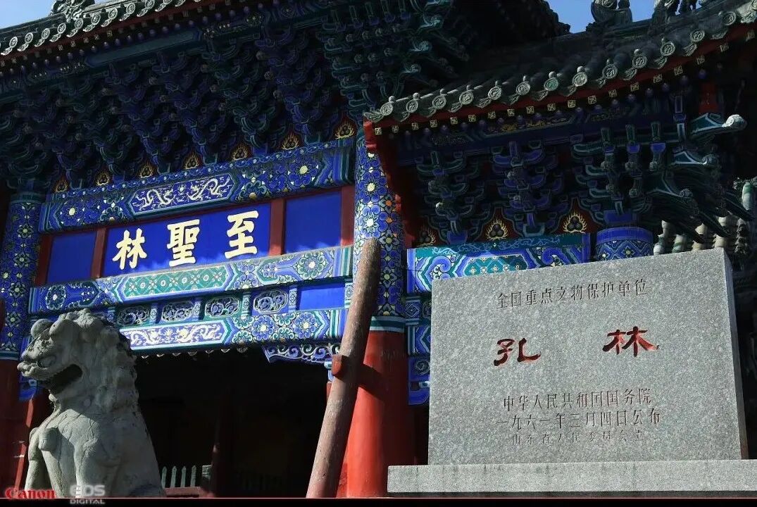 01.jpg