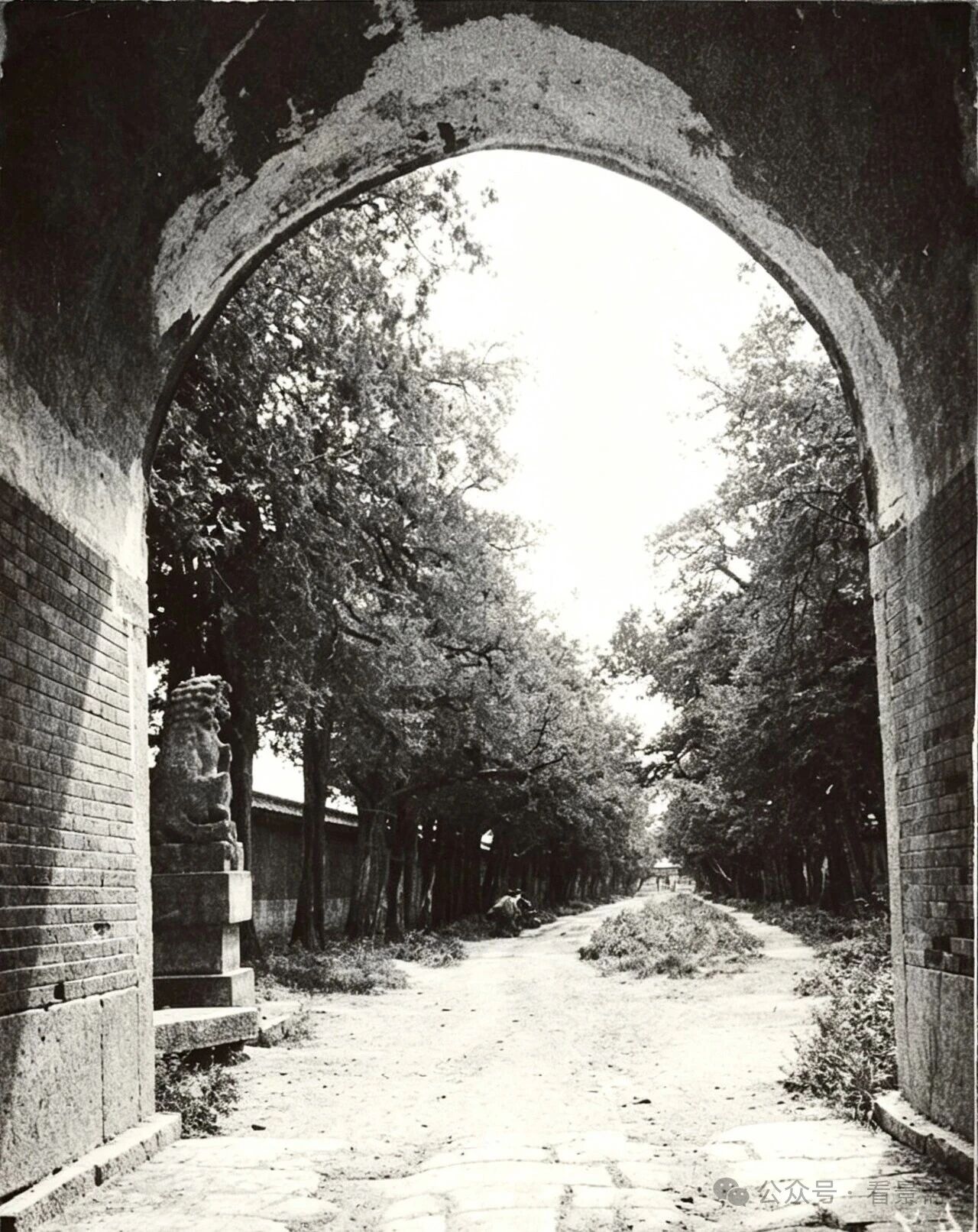 01.jpg
