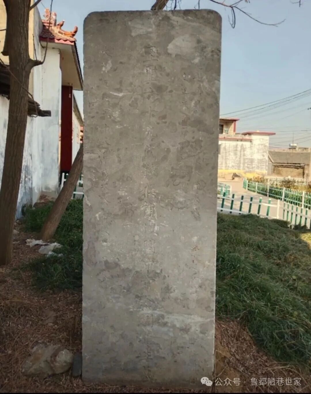 02.jpg